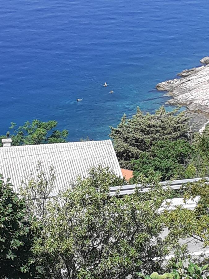 Room Domo Senj  Exterior photo